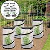1/2/4Pcs Up Barrier Plant Cover Net Plant Protectors Mesh Plant Enclosure Round Foldable Plant Protectors Mesh Plant Enclosure