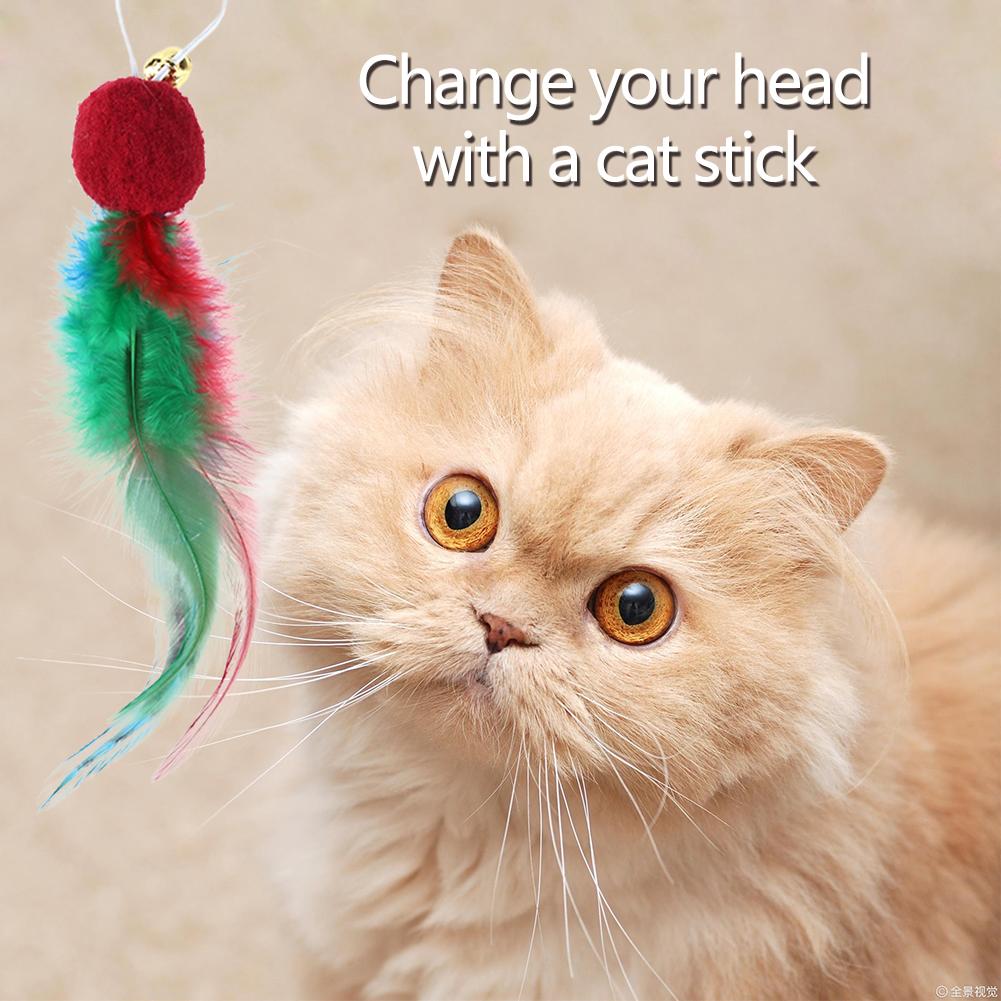 

10Pcs Natural Feather Refills with Bell Feather Replacement Head Cat Wand Toy Refills for Indoor Cat Exercise Playing China Mainland