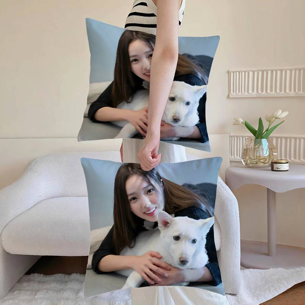 Chae S-Soo-bin Pillow Case Sofa and Living Room Decorative Cushion Covers Dust-proof and Mite-proof Invisible Zipper