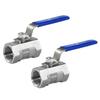 304 Stainless Steel Ball Valve 1/4" 3/8" 1/2" 3/4" 1" Car Washing Water Tank Valve Female BSP Valve Vinyl Handle Thread Valves