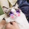 Round glasses cat sunglasses UV protection glasses trendy cool accessories metal glasses pet supplies sunglasses