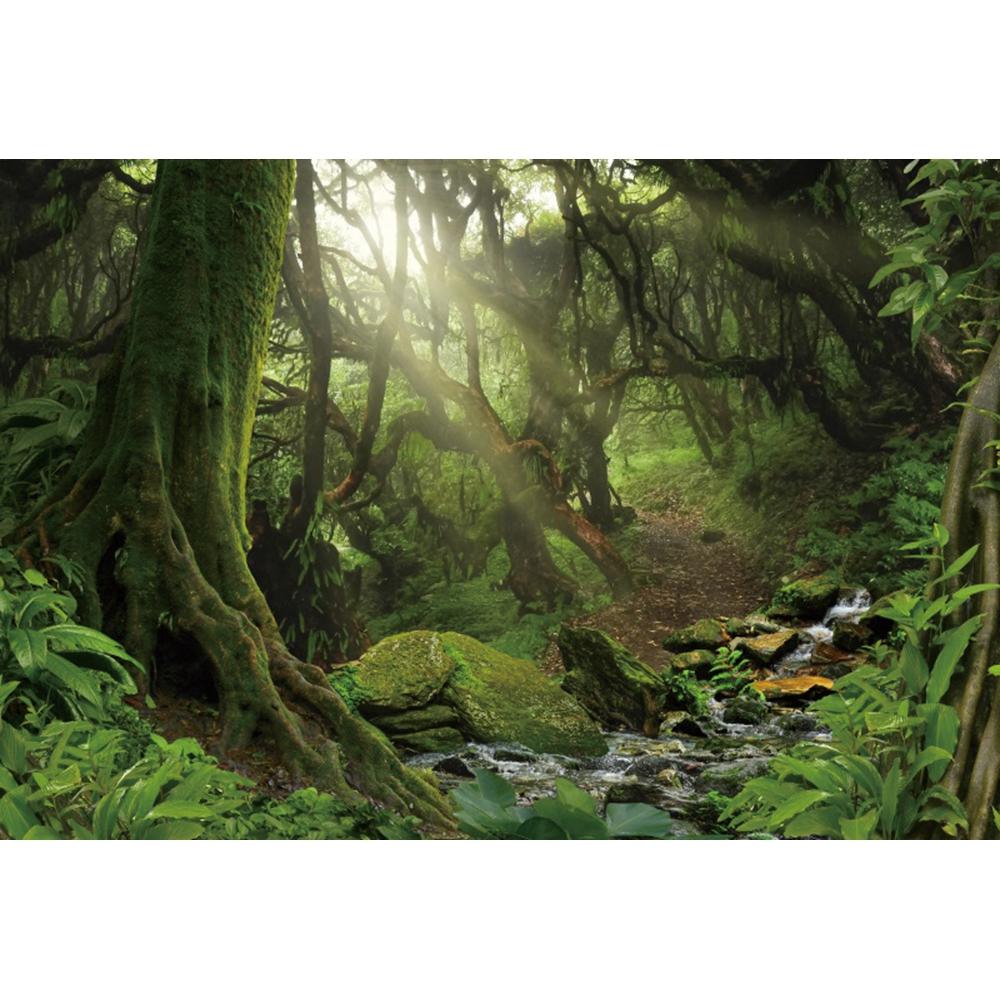 Spring Forest Backdrop Tropical Jungle Rainforest Backdrops for Photography Camping Adventure Birthday Background Photo Studio
