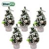 1-10PCS Mini Christmas Tree 20cm Desktop Decor with Gift Box Creative Holiday Ornament for Kids Room Office Party Decoration