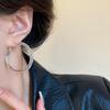 S925 Silver Zircon Large Hoop Earrings: Elegant, Luxurious, Niche Design