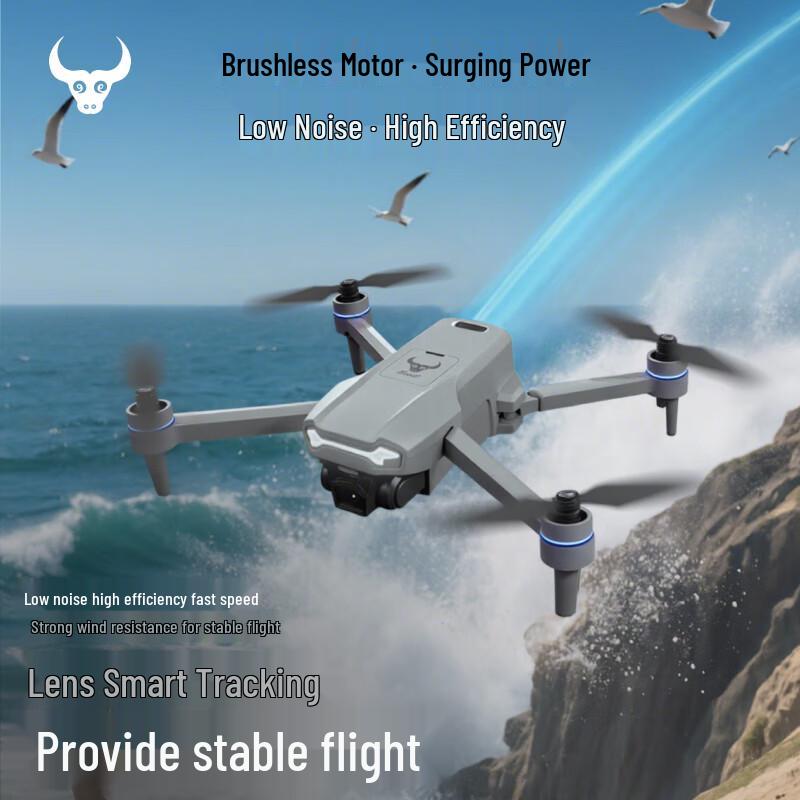 Beast 601 Series Drone with EIS Dual Camera and Obstacle Avoidance (CN version)