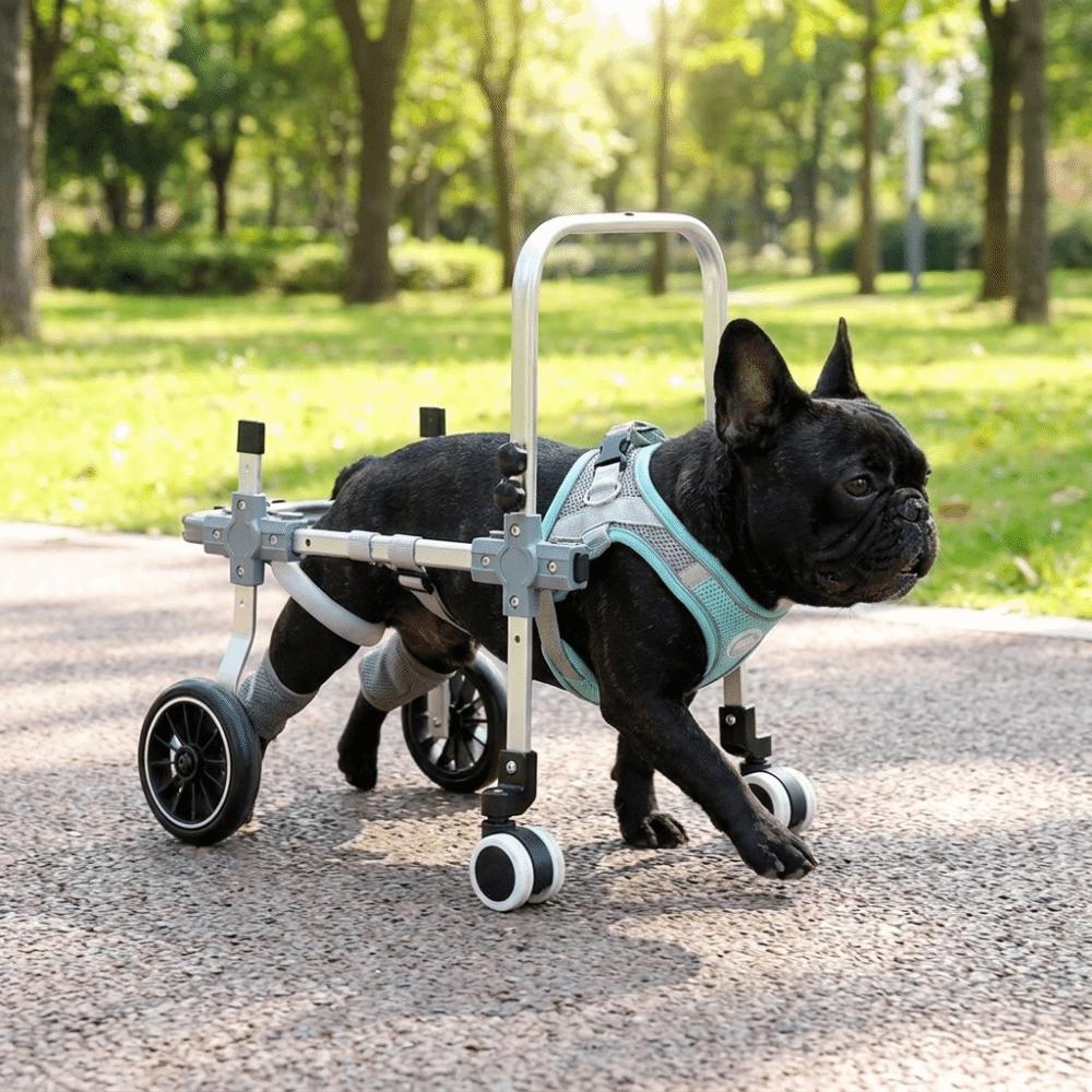 Adjustable Pet Rehabilitation Cart Durable Disabled Pet Walking Aid Hind Leg Support Senior Pets