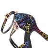 Professionelle Tanzschuhe für Damen, Ballsaal-Tanzschuhe, lateinamerikanische Tanzschuhe mit Absatz, 9 cm