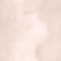 

CD NXS; TAKANARI MIYAWAKI - Dawn - Pearl, Snake, Bird, Dawn IDCC1009 Comma 2002 Japan ObiDance & Electronica Used