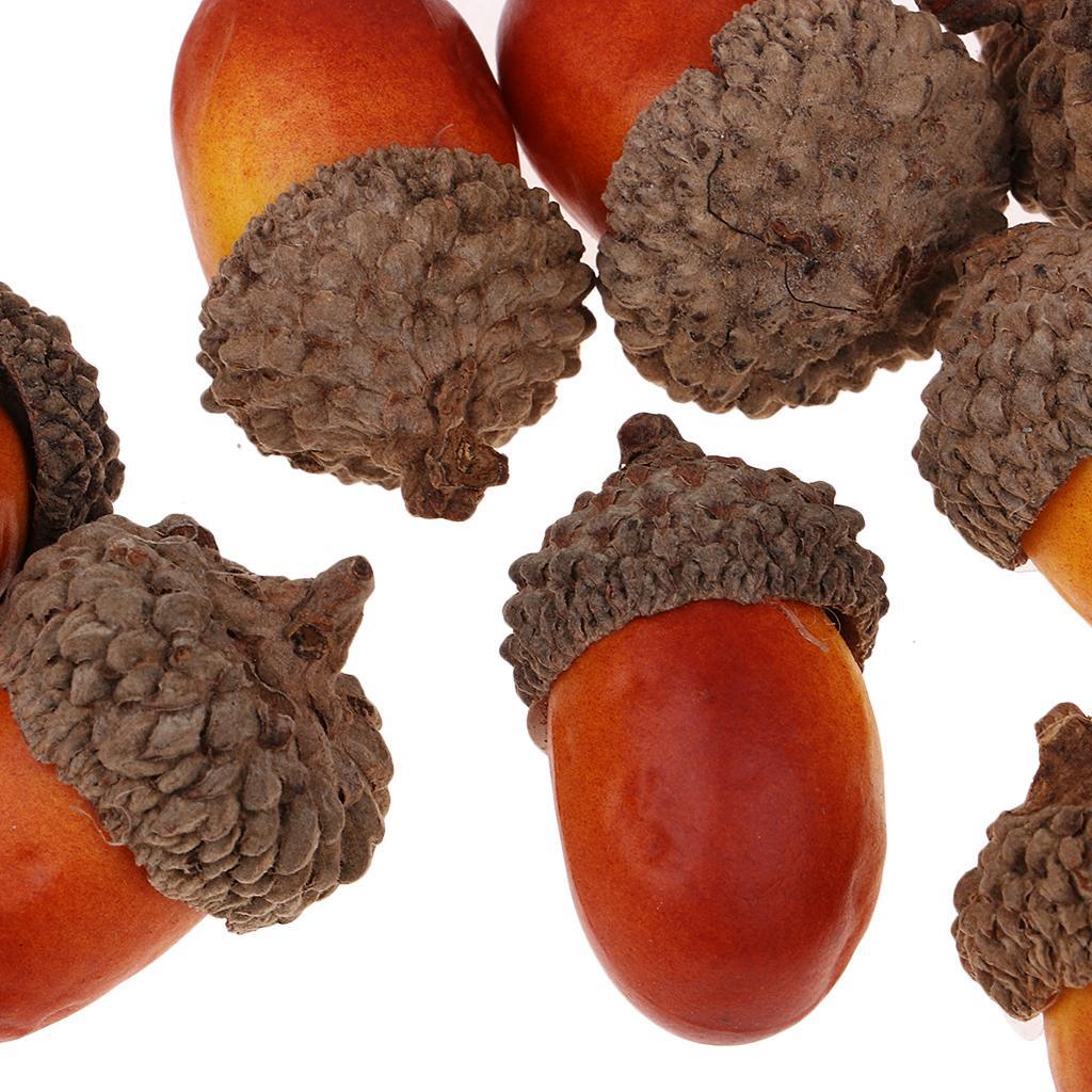 100Pcs Natural Acorns Real Acorns Caps Home DIY Christmas Natural Acorn