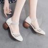 Ethnic Style Women's Shoes 2025 New Summer Baotou Breathable Women's Sandals Thick Heel Fashionable Hollow Hole Shoes