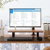 ATSCORE Ergonomic Monitor Mounts & Stands