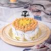Clear Cake Dome Cover: Cake Stand Cover Food Plate Lid Clear Cloche Bell Cover Cake Dome Round Display Cake Plate Serving Platter Punch Bowl Food