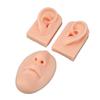 3D Nose and Mouth Model Silicone Ear Model Simulation Display Props for Piercing Suture Practice