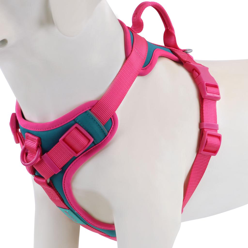Splicing Colors Breathable For Medium No Pull Dog Harness for Large Small Dogs Adjustable Chest Strap Outdoor Dog Harness