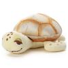 Pixar Character Nui Pan Plush Toy S Melon Pan Crush Plush Toy Width 17cm approx.