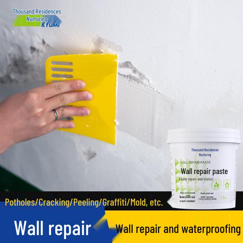 Wall Repair Paste