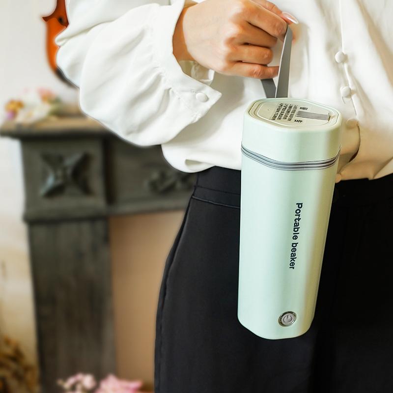 Electric Water Cup Household Portable European Standard Car 12V/24V Electric Kettle
