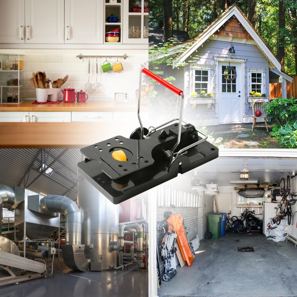 Set of 5 Mouse Traps for Rats, Rodents, Mouse Traps, Strong Spring