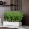 10 PCS Artificial Plants Onion Grass, Faux Shrubs Wheat Grass Greenery Stems Onion Grass-Greenery Faux Greenery Stems for Home Decor, Fake Tall
