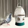 Abbeveratoio per Piccioni di Grande Capacità 2L Serbatoi Trasparenti Per Idratazione Senza Sforzo Design Rialzato Manico Conveniente Dispenser d'Acqua