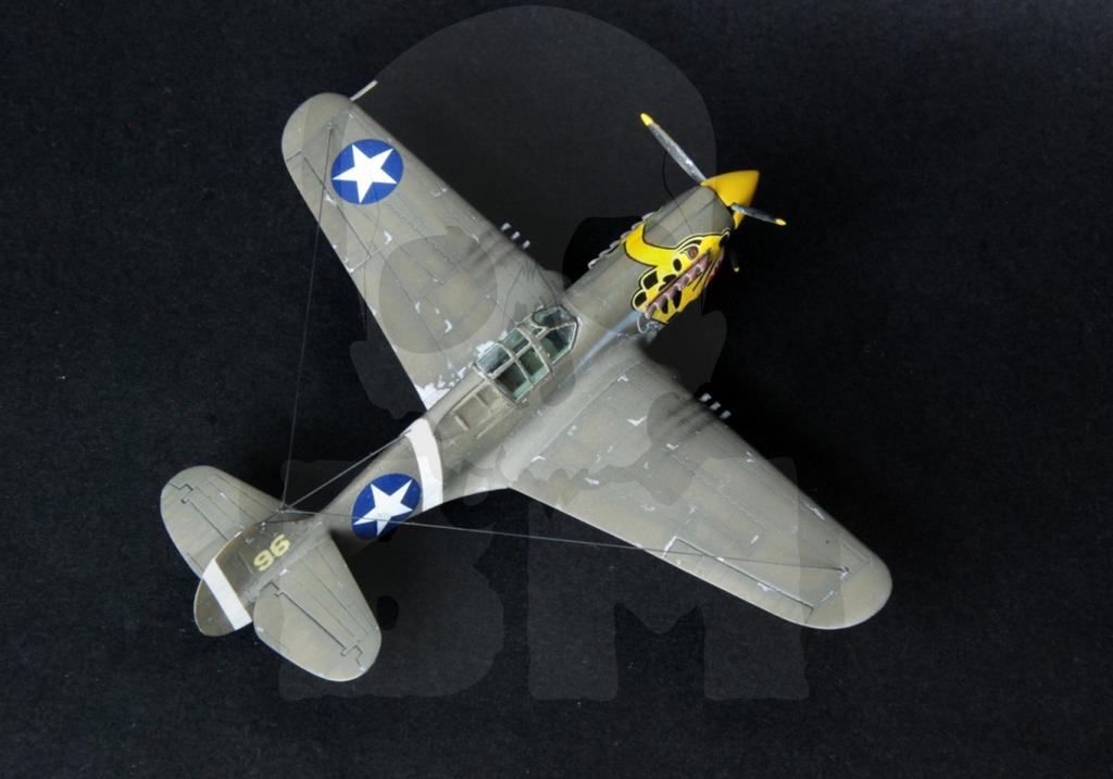 Mcrzd202 P-40e Aleutian Tiger 1:72 Start Set
