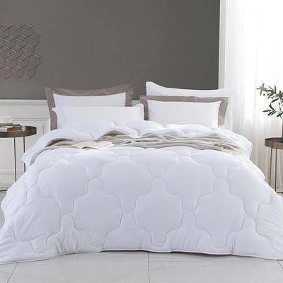 Mengjie Soft All-Season Quilt