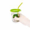 Skater 3 tumblers with straws 320ml The Very Hungry Caterpillar Made in Japan SIH3ST