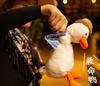 Kiyoraka OK-A01 "Flapping Duck" - A Cute Plush Toy That Repeats What You Say and Shakes Its Head, White