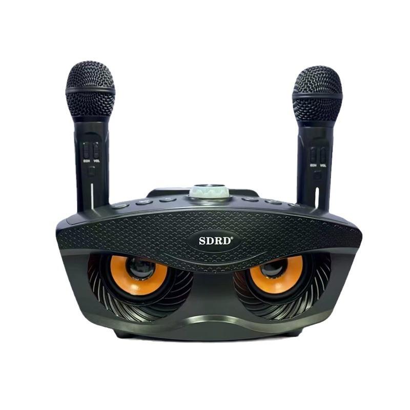 OWLS 30W Multi-function Subwoofer Surround Sound Wireless Bluetooth Speaker with Dual Mics Portable Family Party Karaoke Player