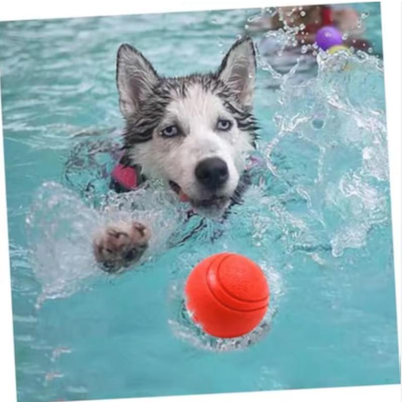 Koerte mänguasi kummist palli hammustusekindel pallimänguasi koertele kutsikale Pitbull punase värvi ühevärvilise palliga S-XL lemmikloomatarbed