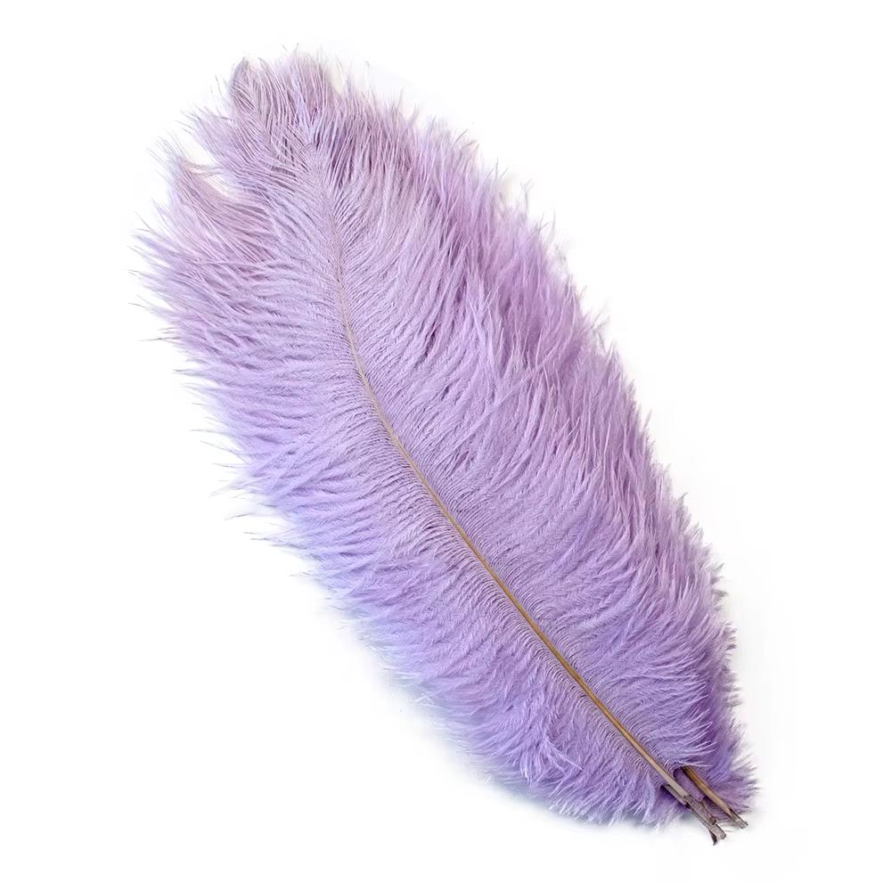 

Wholesale 100Pcs White Ostrich Feathers for Crafts Wedding Decoration Handicraft Accessories Table Centerpieces Carnival Pluma 15-20cm 6-8inch світло-фіолетового кольору