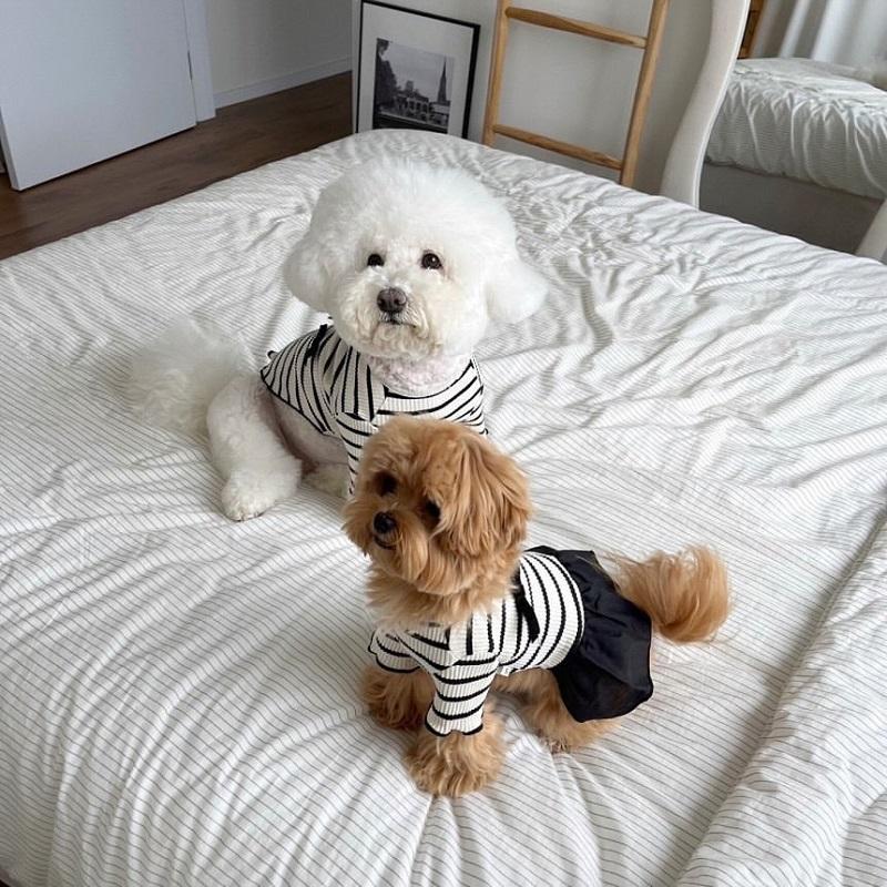 Striped Dog Vest Pet Dog Dress Dog Clothes for Small Dogs Chihuahua Bichon French Bulldog Bow Dog T Shirt Puppy Skirt