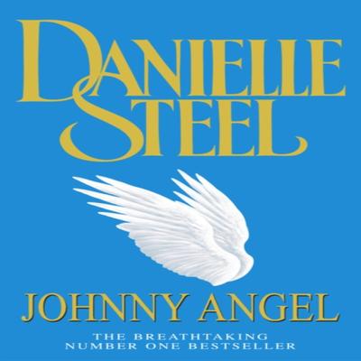 Johnny Angel by Danielle Steel Paperback Book 9780552148559