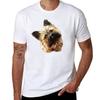 Norwich Terrier  Super Cute TShirt Stylish Graphic Short Sleeve Top