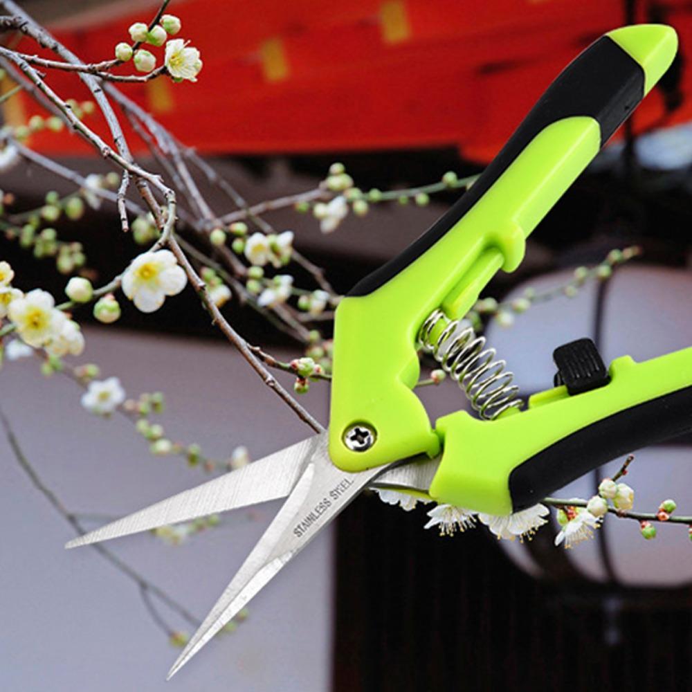 Household Potted Trim Weed Branches Small Scissors Gardening Tools Garden Pruning Shears Fruit Picking Scissors