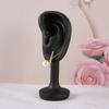 Ear Shaped Ear Studs Organizer Holder Rack Portable Earring Showcase  for Earrings