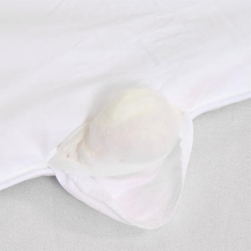 Mercury Home Textiles DH Talent Antibacterial Mulberry Silk Quilt
