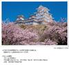 Yanoman in Jigsaw Japanese Thousand Cherry Blossoms and Himeji Castle Includes a piece request a a service and a jigsaw puzzle instruction (Yanoman)