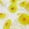 10/20/30M Plug in Sunflower Fairy Lights Outdoor Waterproof Artificial Flower String Light For Gazebo Patio Wedding Party Decor