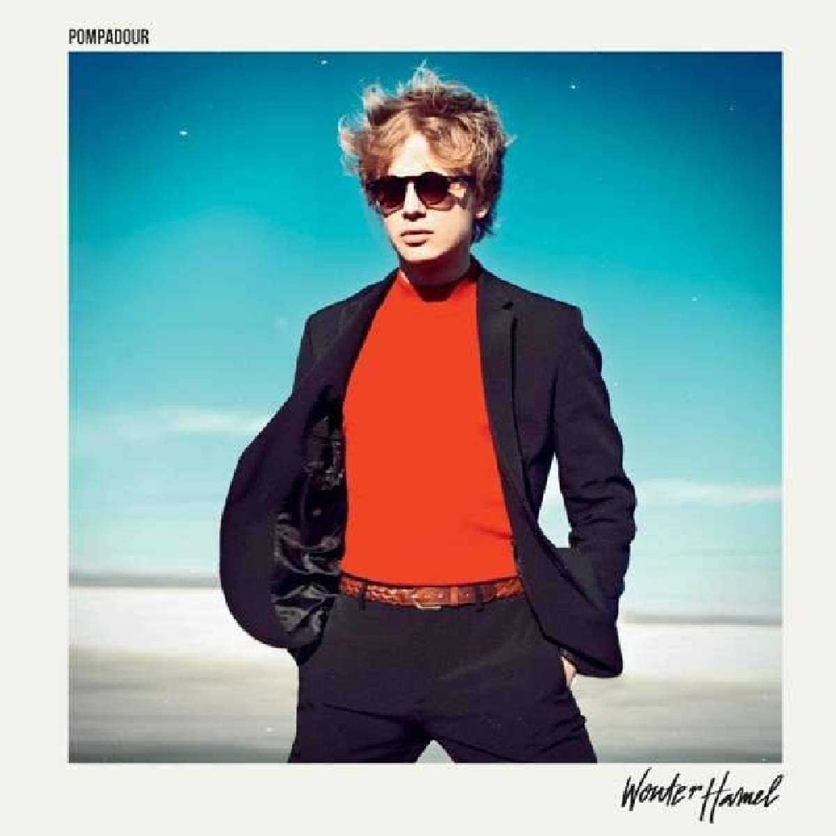 

CD WOUTER HAMEL - Pompadour DOX222 Dox Records 2014 US Rock Used