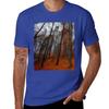 Forest in the Fall T-Shirt Short sleeve tee Blouse korean fashion clothes