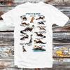 Otters of the World T Shirt B692
