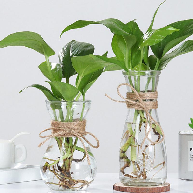 Glass Vase Thickened And Wear Resistant High Quality Thickened Glass Home Decoration Flower Ornaments Flanging Design Circular