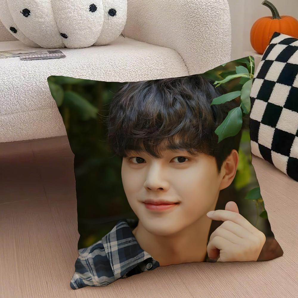 Handsome Charming Korean Actor SSong Kang Cushion Cover Throw Pillow Cover Hidden Button Durable Polyester Chair Cushion