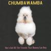 CD CHUMBAWAMBA  Shes Got All The Friends That Mone UNIR200332 Republic 2000 US Rock Used