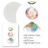 Pastel Colored Sea Shell Watercolor Poster Ocean Pebbles Canvas Painting Wall Art Education Picture Retro Kid Room Home Decor