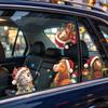 Christmas Cute Pony Cartoon Car Sticker for Window Glass of The Car, Holiday Decoration Sticker