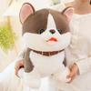 25/35cm Glückshund Puppe Stofftier Plüschtier Handgemachte Puppe Cartoon Anime Niedliches Kissen Kissen Lustiges Kindergeburtstagsgeschenk Puppe