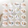 Little Bear Milestone Cards: 1-12 Months & Hundred Days Commemorative Photo Props