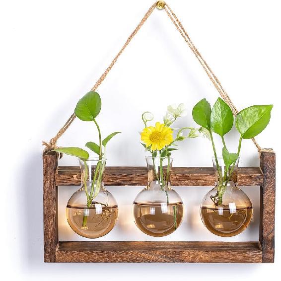 Plant Propagation Station with Wood Stand - Wall Glass Terrarium for Cuttings Air Plants Small Flower Pothos - Gift for Women Plant Lovers (Gradient